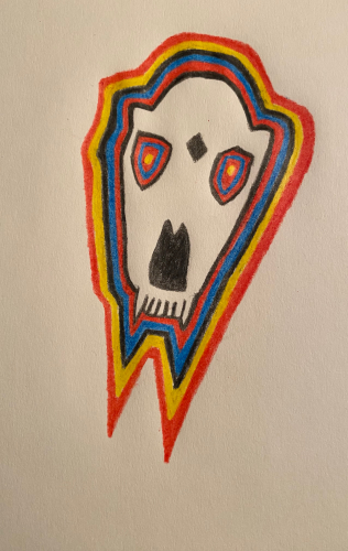 Raccoon Skull